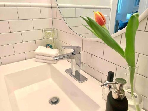 a bathroom sink with a vase with a flower in it at Cozy, Renovated 1Bed Suite, Full Kitchen, 5 min to Westport in Weston