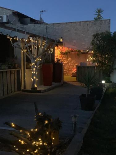 podwórko z lampkami świątecznymi na drzewie w nocy w obiekcie Le mas des mourguettes w Saintes-Maries-de-la-Mer