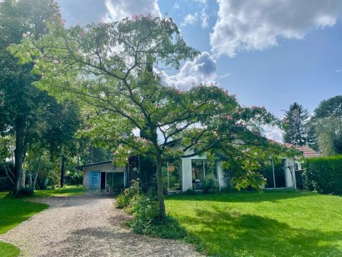 a tree in the yard of a house at Villa sur les bords de la Seine à 1h de Paris in Moisson