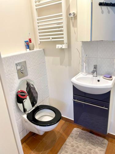 a small bathroom with a toilet and a sink at Villa sur les bords de la Seine à 1h de Paris in Moisson