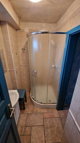 ein Bad mit einer Dusche, einem WC und einem Waschbecken in der Unterkunft Mary's Old Mill in Ilirska Bistrica