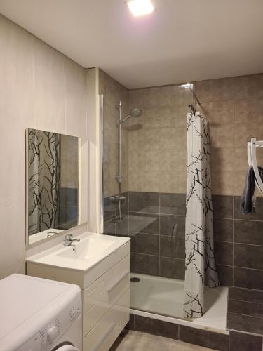 een badkamer met een wastafel, een douche en een bad bij Les Gîtes de Jussey in Jussey