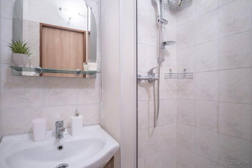 Kúpeľňa v ubytovaní Apartmán Palenica