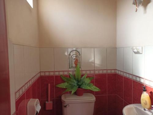ein Badezimmer mit einer Pflanze auf einem WC in der Unterkunft DEPA WANKA in Huancayo