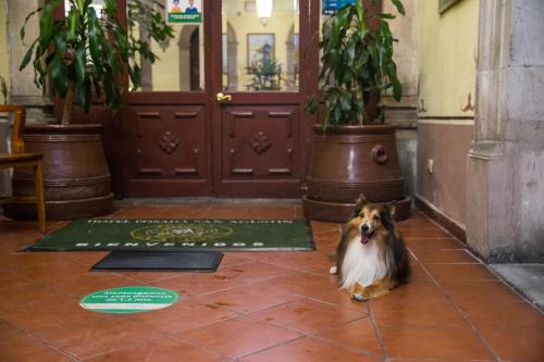 een hond die voor een deur op de vloer zit bij Hotel Posada San Agustin in Durango
