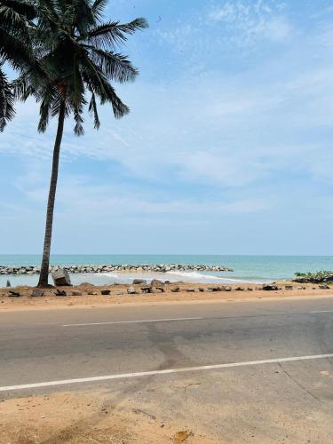 a beach with a palm tree and the ocean at Sevenday Hotel in Marawila