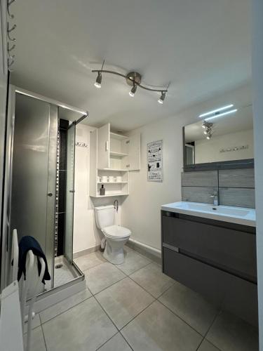 Charmant Duplex en Centre-ville Proche du Puy-du-fouu في شوليه: حمام مع مرحاض ومغسلة ومرآة