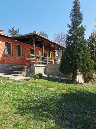 a house with a tree in front of it at Cottage House Official in Niš