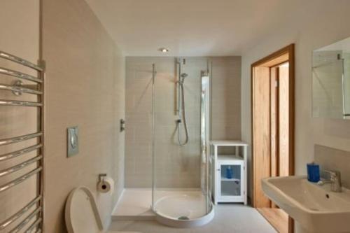 a bathroom with a shower and a toilet and a sink at Bramble, luxury in idyllic setting, at Hollambys in Groombridge