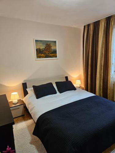 a bedroom with a black and white bed with two pillows at Sol apartaments 3 camere in Târgu-Mureş
