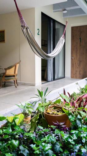 a hammock in the middle of a room with plants at Selva House in Medellín