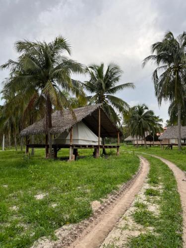 a hut with palm trees and a dirt road at Glamping Bio-Dorf Cabana 1 in Trairi
