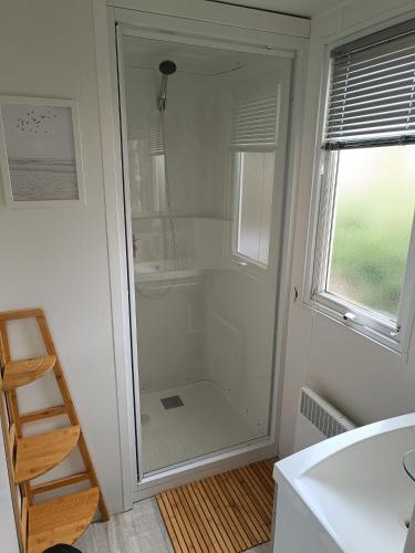 La salle de bains est pourvue d'une douche en verre et d'une fenêtre. dans l'établissement Vacances dans les Landes, à Aureilhan