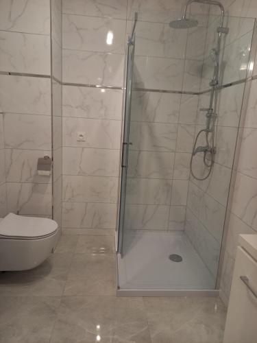 łazienka z prysznicem i toaletą w obiekcie Apartament na Górnej 22 z parkingiem podziemnym w Kielcach