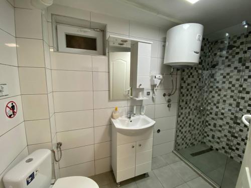 e bagno con servizi igienici, lavandino e doccia. di FIA House a Ždanec