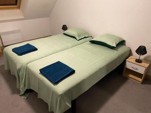 deux lits côte à côte dans une pièce dans l'établissement Appartement Seine 391, à Nogent-sur-Seine