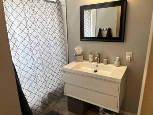 ein Badezimmer mit einem weißen Waschbecken und einem Spiegel in der Unterkunft Sycamore Suite/ Wi-Fi & office in Big Spring
