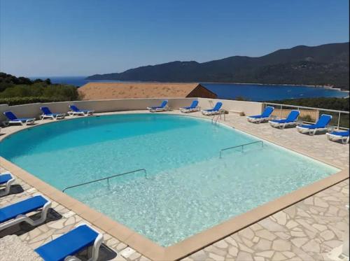 a large swimming pool with blue lounge chairs at La bergerie de Cupabia in Serra-di-Ferro