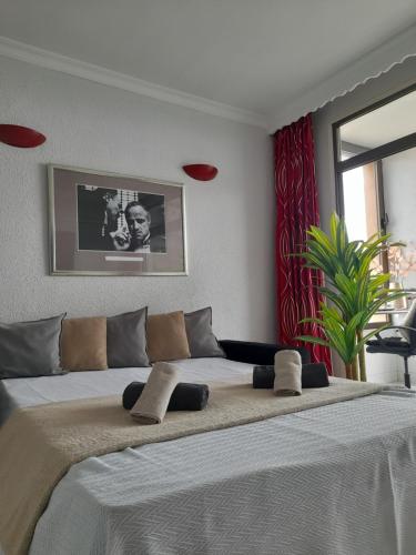 Apartment on the harbor, first line with beautiful sea view in 4 star hotel