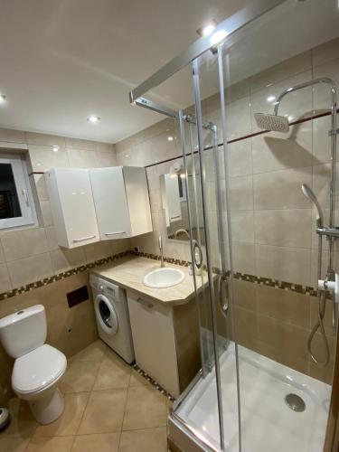 a bathroom with a toilet and a sink and a shower at Bielawa Góry Sowie in Bielawa