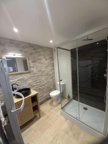 une salle de bain avec une douche en verre et des toilettes dans l'établissement Appartement Chez Marcel, à Saint-Lager-Bressac