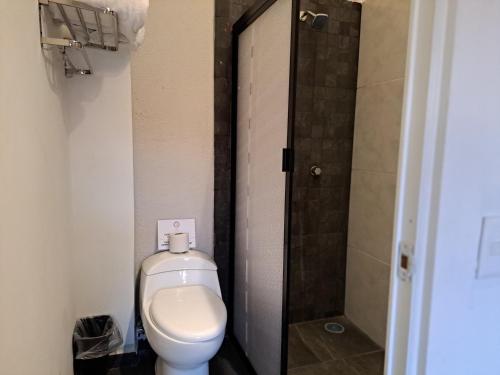 a bathroom with a toilet and a shower at Hotel Tao in Atlixco