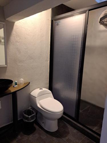 a bathroom with a toilet and a shower at Hotel Tao in Atlixco