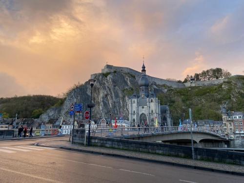 迪南的住宿－Vue Meuse, en face de la citadelle，一座山上的建筑,一座桥和一座城堡