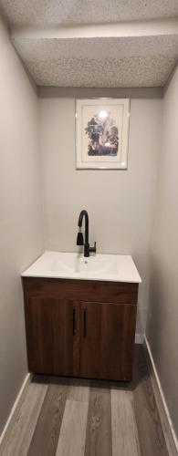a bathroom with a sink and a picture on the wall at New Stylish 2-Bedroom Basement Suite in Winnipeg