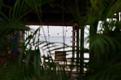 a view of a beach with chairs and the ocean at Hostel Santa Cruz del Islote in Santa Cruz del Islote