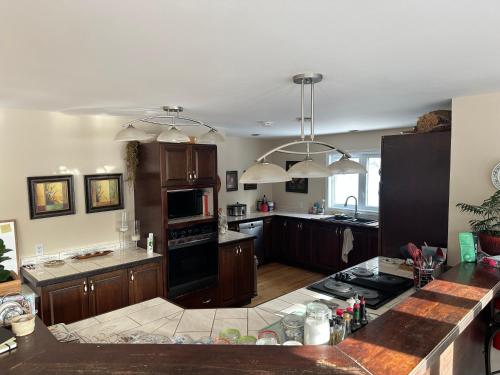 a kitchen with wooden cabinets and a counter top at Eden Estate B&B in Reidville