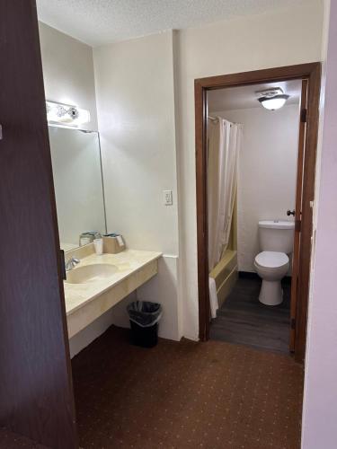 a bathroom with a sink and a toilet at Budget Inn Motel in Storm Lake