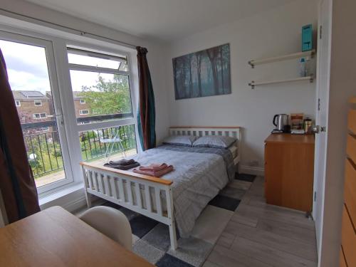 een slaapkamer met een bed en een groot raam bij Cosy bedroom with bathroom en suite in London Canary Wharf E14 in Londen