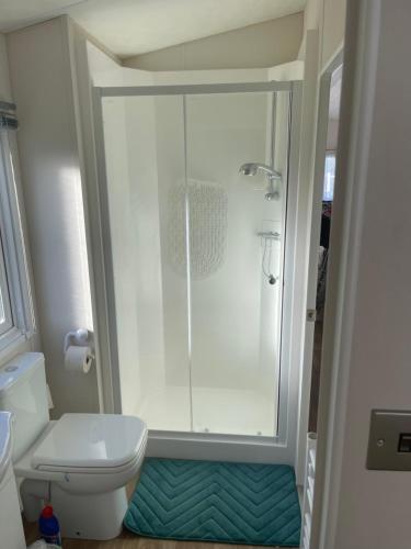 a bathroom with a shower and a toilet at Gold star 6 birth caravan in Berrow