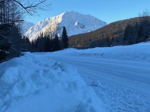 a snow covered road with a mountain in the background at Resurrection Peaks Lodge in Seward
