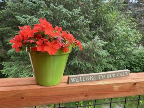 a green pot with red flowers sitting on a fence at Resurrection Peaks Lodge in Seward