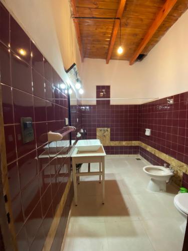 y baño con azulejos púrpura, lavabo y aseo. en Néctar en Tinogasta