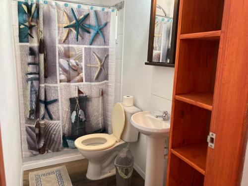 a bathroom with a toilet and a sink and a shower curtain at La casita in La Esmeralda 