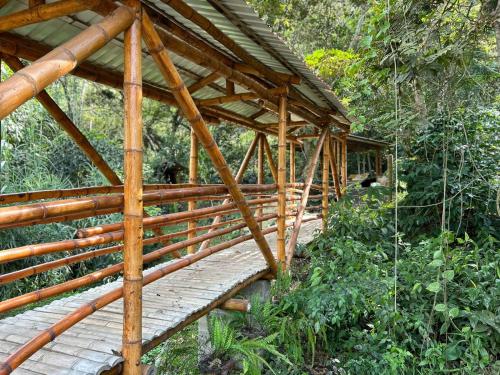a wooden bridge in the middle of a forest at Majestic Coffee Hotel and Restaurant Tierradentro in Tierra Adentro