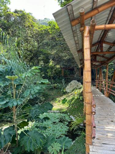 a wooden walkway leading to a garden with plants at Majestic Coffee Hotel and Restaurant Tierradentro in Tierra Adentro