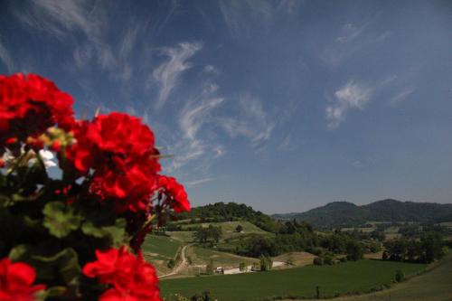 a red flower with a view of a mountain at Palazzo Tornielli in Mombello Monferrato