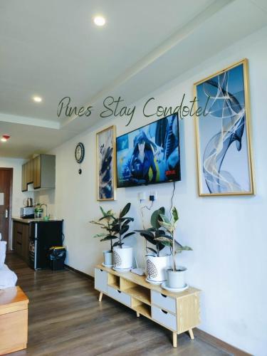 een woonkamer met potplanten aan de muur bij Megatower 4 6F 24 Pines Stay Condotel Near SM & Burnham in Baguio