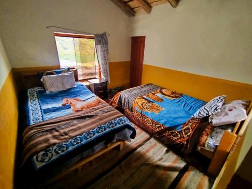 - une chambre avec 2 lits et une fenêtre dans l'établissement HOMESTAY KINSA COCHA, à Pisac