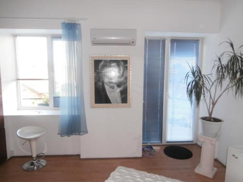 una sala de estar con una foto en la pared y ventanas en Private Apartment For You, en Tartu