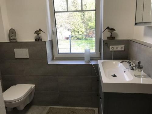 La salle de bains est pourvue d'un lavabo, d'une fenêtre et de toilettes. dans l'établissement Kobel Modern retreat, à Bürstadt