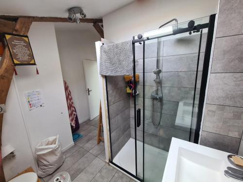 une douche avec une porte vitrée dans une salle de bain dans l'établissement Ecovilla landaise, à Saint-Laurent-de-Gosse
