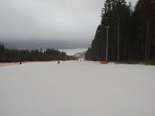 a group of people skiing on a snow covered slope at Rodinný apartmán Frymburk u aquaparku in Frymburk