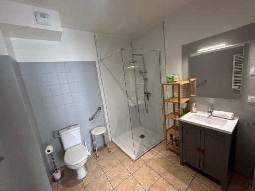 une salle de bain avec une douche, des toilettes et un lavabo dans l'établissement Studio cocooning aux portes de DINAN PMR, à Saint-Samson-sur-Rance