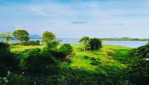 Fotografija u galeriji objekta Thissawewa Guest u gradu Anuradhapura