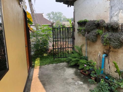 an entrance to a courtyard with a gate and plants at ห้องพักรายวันราคาถูกเชียงใหม่ in Chiang Mai